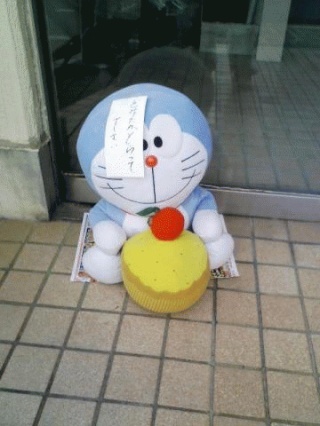 捨て猫