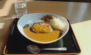 ハンバーグカレー