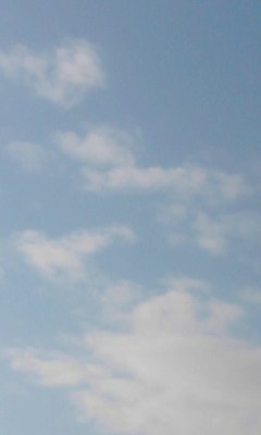 雲
