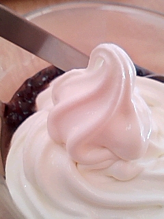 いつものスガキヤ