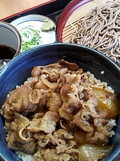 ミニ牛丼＋そばセット
