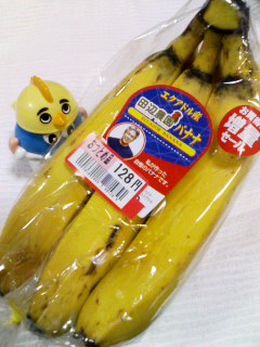 エクアドル産田辺農園バナナ
