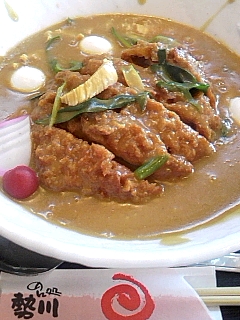 豊橋カレーうどん