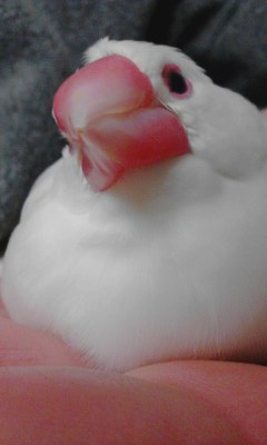 ・∋{寝癖