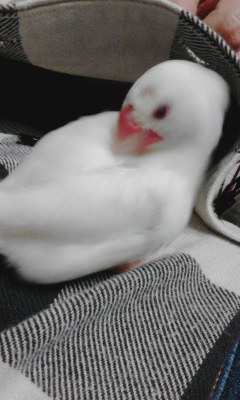 ・∋{お手入れ
