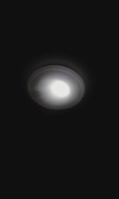 電灯