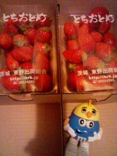いちご箱買い