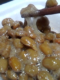 ＮＡＴＴＯ