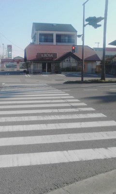 イルローザ
