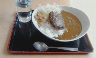 ハンバーグカレー