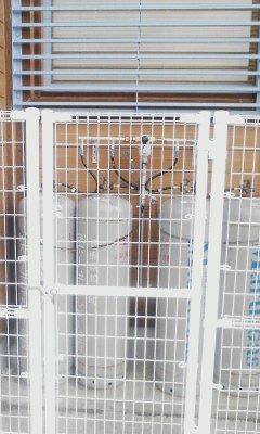 ＬＰガス
