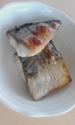 魚