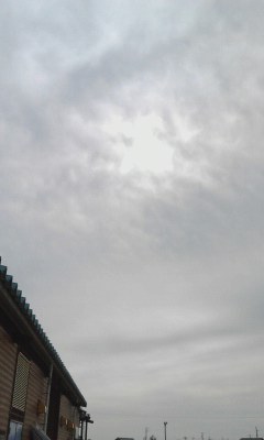 くもり