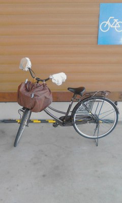 自転車