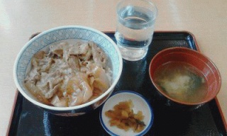 牛丼