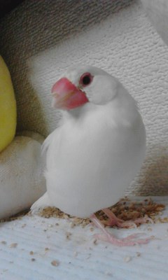 ・∋{満腹