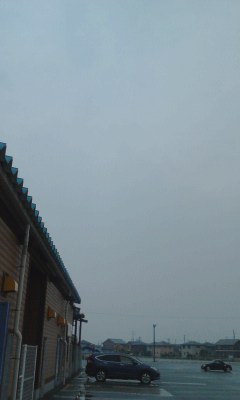 雨