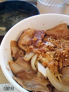 今日も松屋