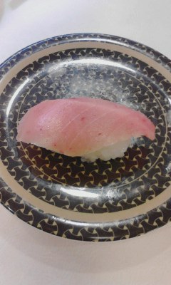 本マグロ
