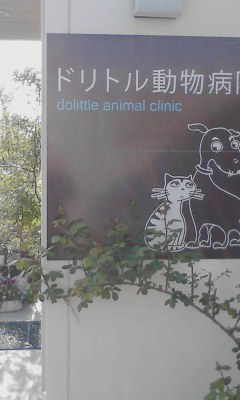 動物病院