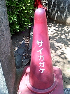 サイガガケ