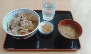 牛丼