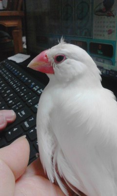 ・∋{アンテナ