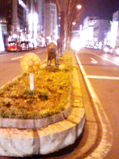 ライオン