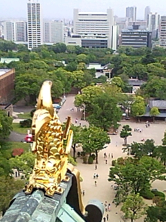 しゃちほこ