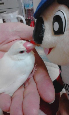 ・∋{弱いのぅ