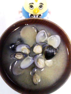 網走しじみ