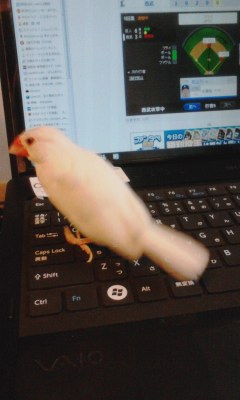 ・∋{今日は負けない日