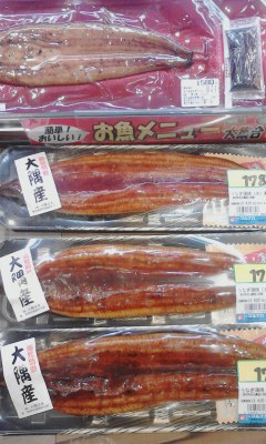 うなぎ