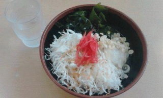 冷やしぶっかけサラダうどん