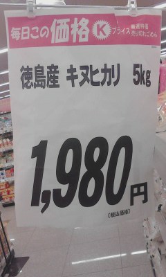 キヌひかり