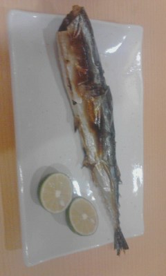 魚