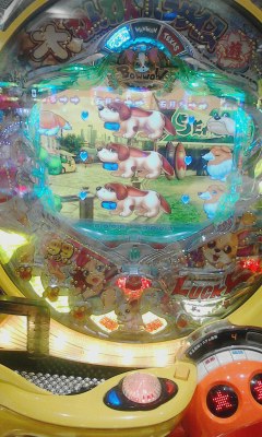 揃った（￣―+￣）