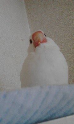 ・∋{お弁当つけて…