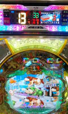 １３回＼(^^)／