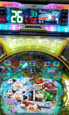 ２６回(^o^)/