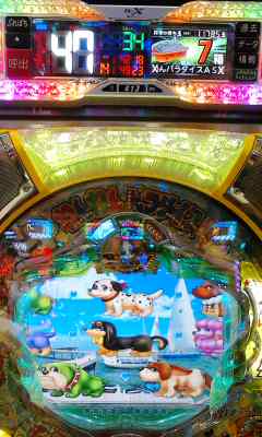 ４７回(o^O^o)