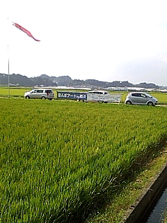 田んぼ