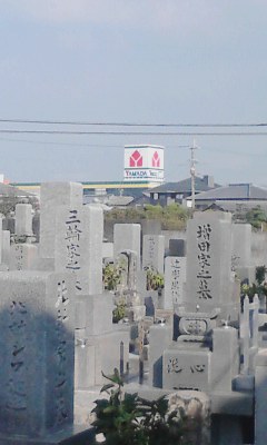 ヤマダ電機