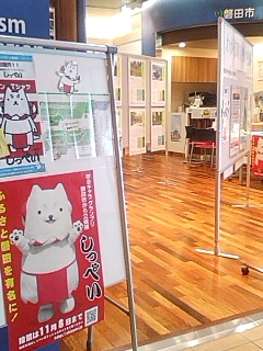 磐田市