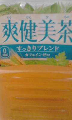 爽健美茶