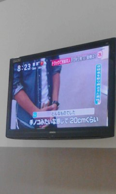 ノコギリ