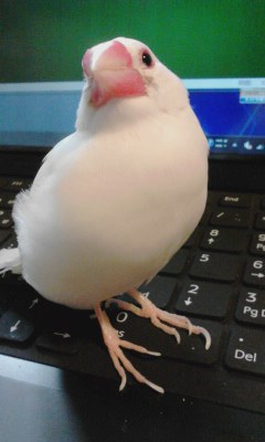 ・∋{ソリティアやろう