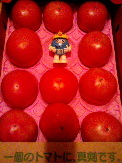 トマト大箱買い
