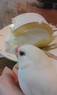 ・∋{うまそう