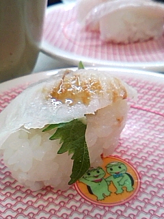 かっぱ